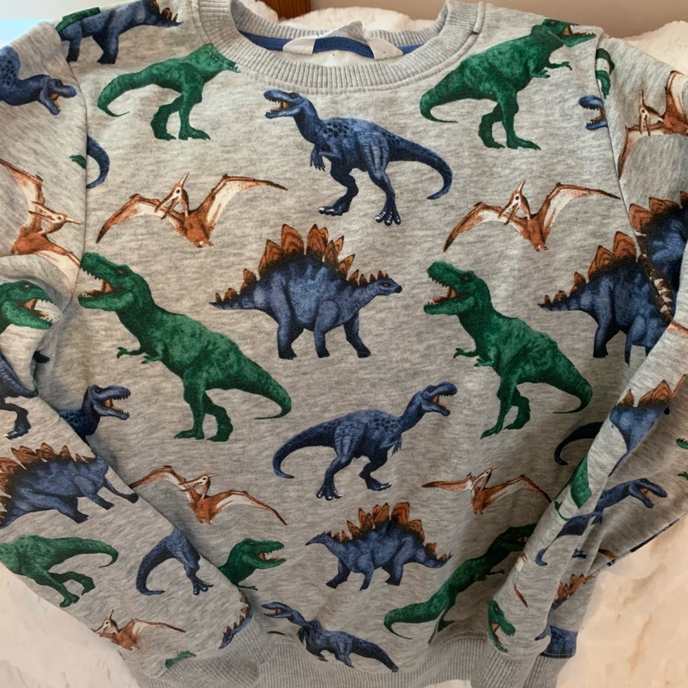 Boy’s sweatshirt